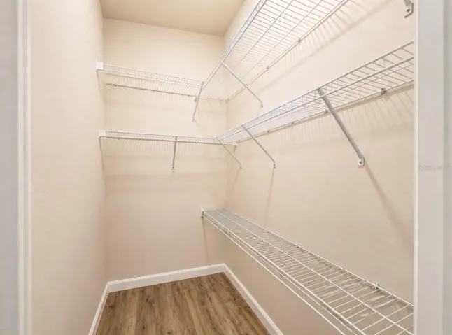 Primary Walk-In Closet