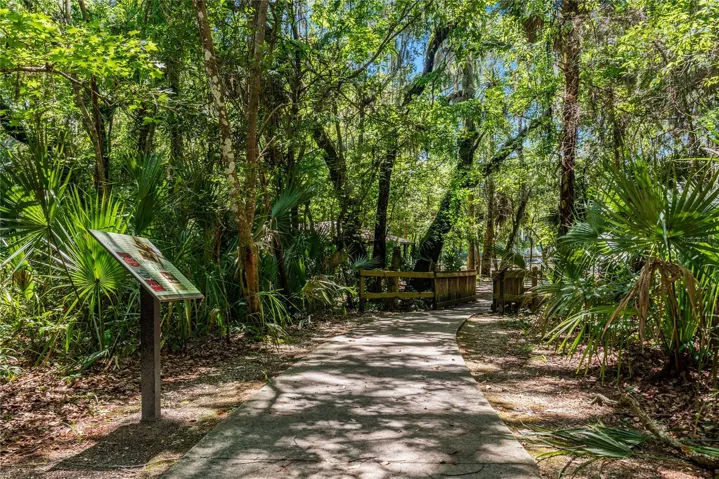 The trails at Green Springs Park