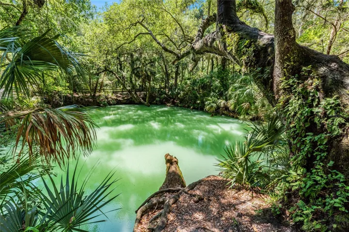 Green Springs Park