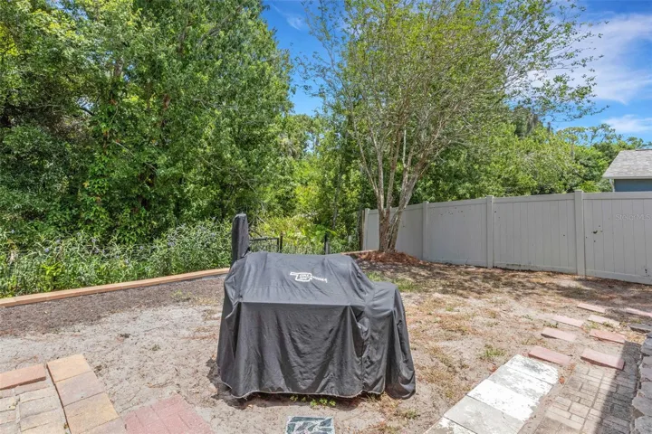 Back Yard with View