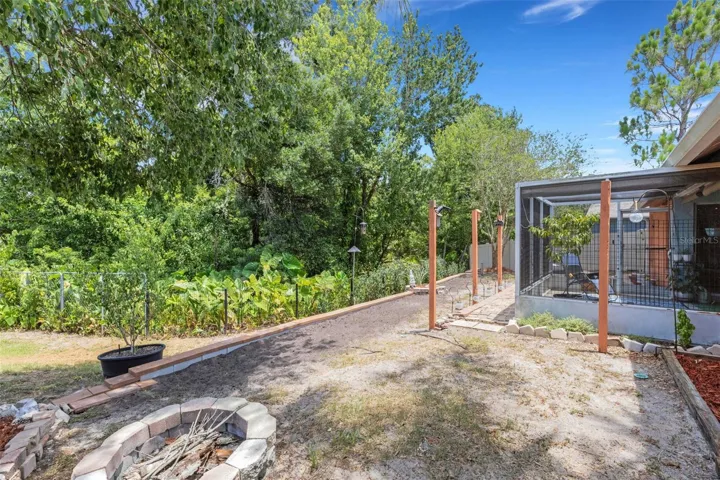 Back Yard with View