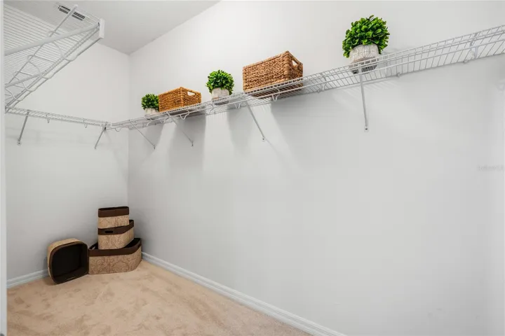 Walk-In Closet (4.5' x 11')