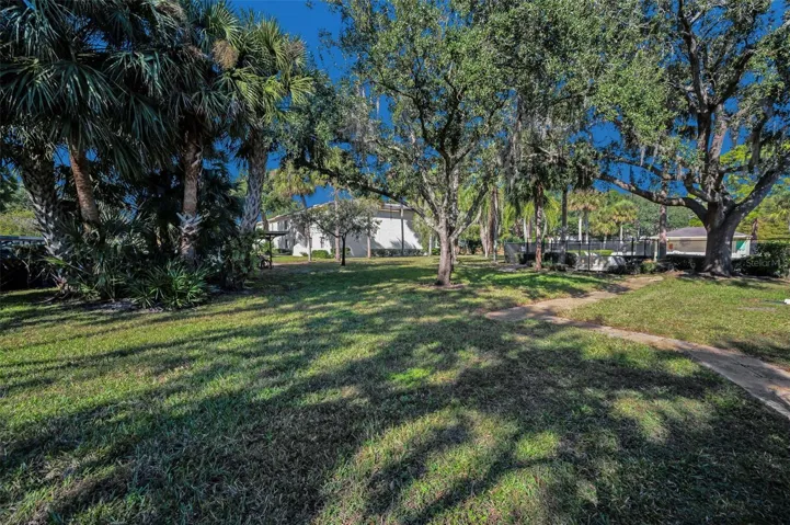 Rear Greenspace