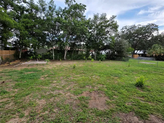 Spacious Backyard