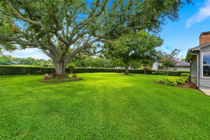 Plenty of Room to Roam, Place a Pool or a Playhouse.