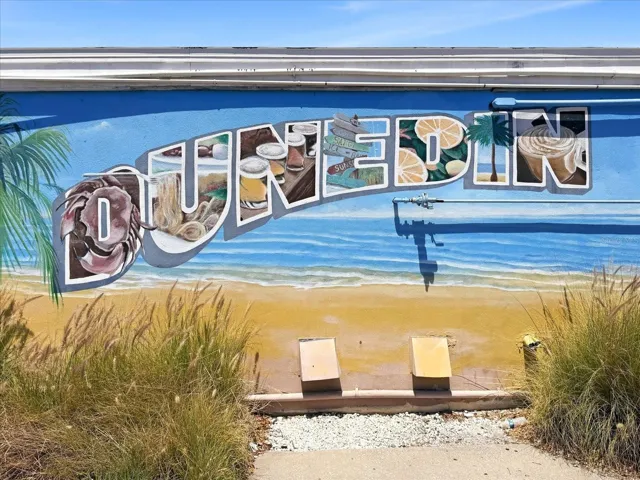 Welcome to Delightful Dunedin!