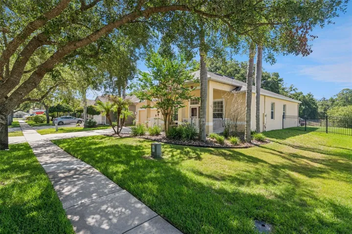 SIDE YARD