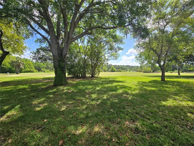 Backyard View