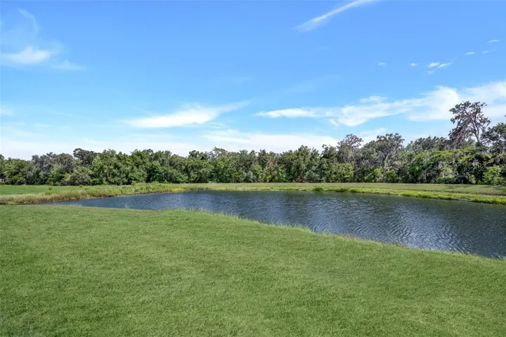 Waterfront and conservation view