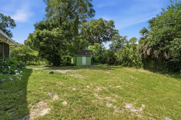 BACK YARD