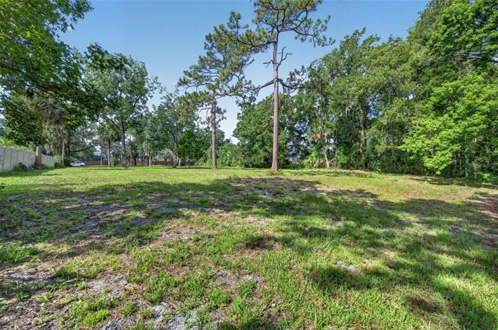 Additional view of the property's natural landscape and spacious buildable area.