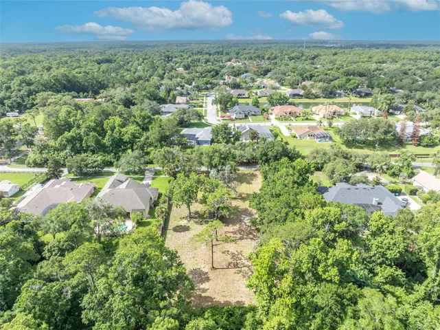 Peaceful interior view showcasing mature trees and the natural beauty of this estate-sized property.