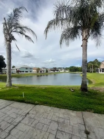Rear Garden View of the Pond