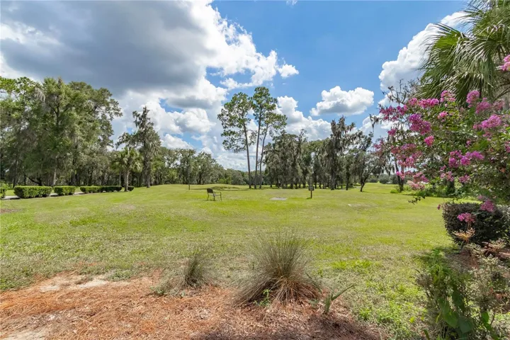 Open Area For Walks