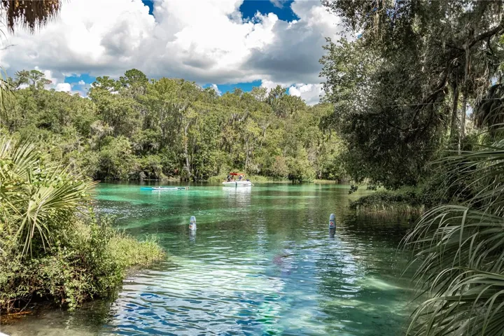 Rainbow River Access