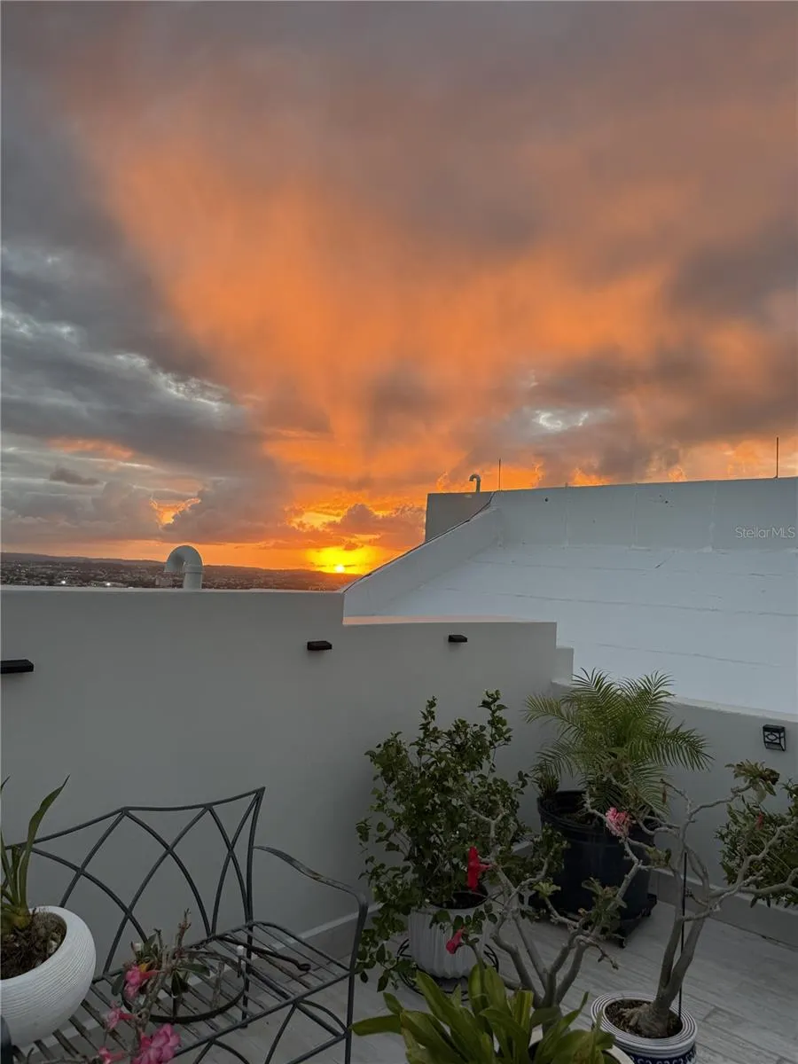 Sunset
