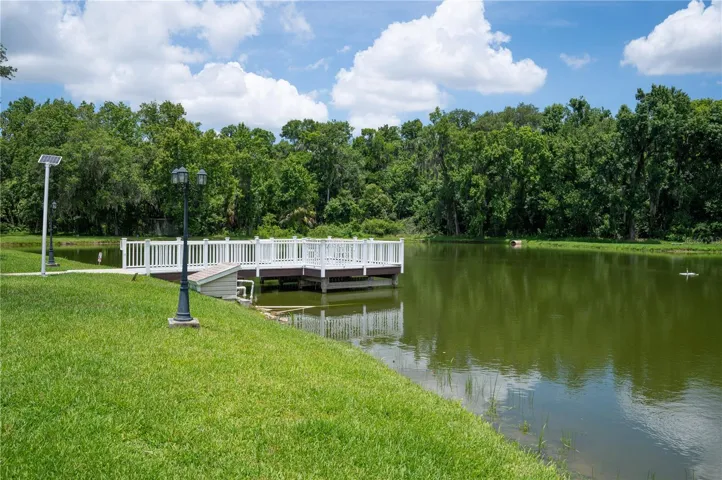 Pond with dock