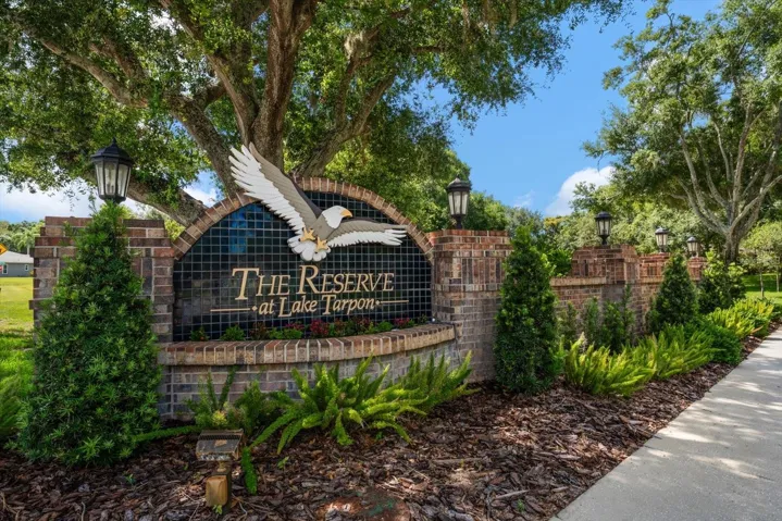 THE RESERVE AT LAKE TARPON - an Exclusive Enclave of just 52 homes
