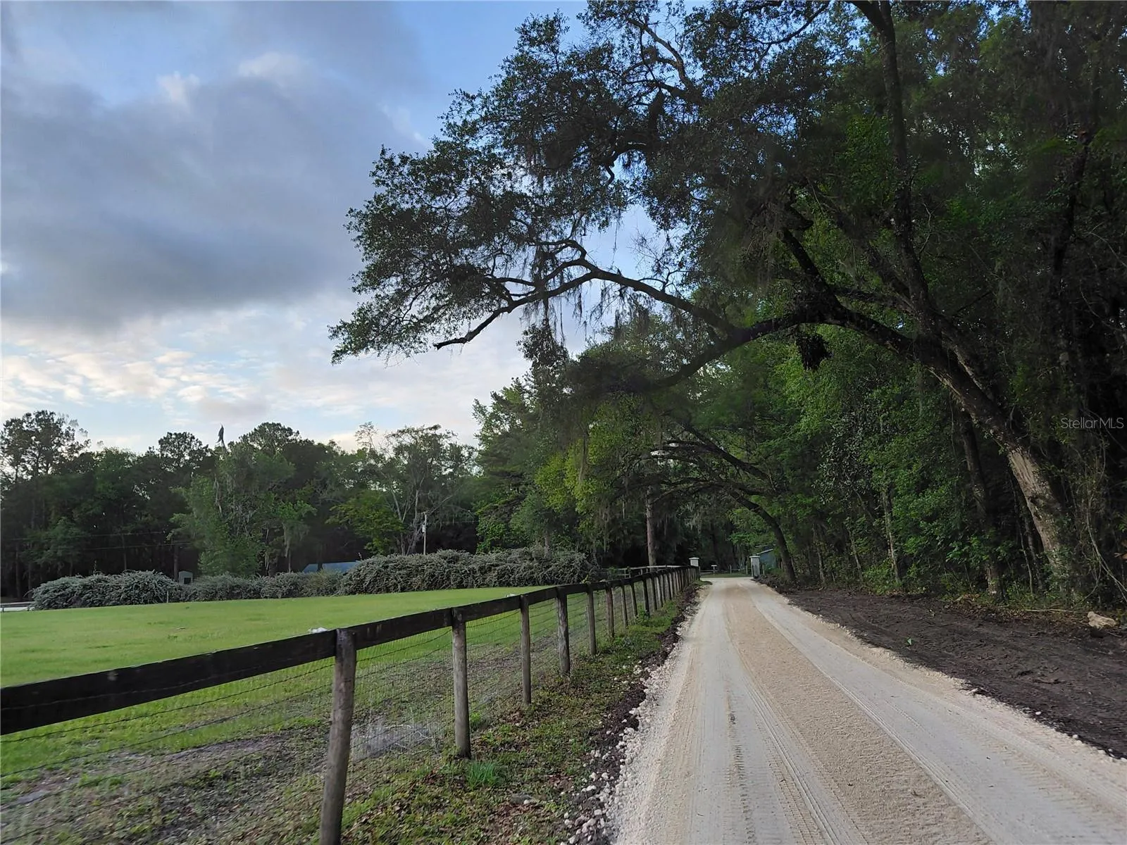 Driveway Tree Tunnel with New Lime rock