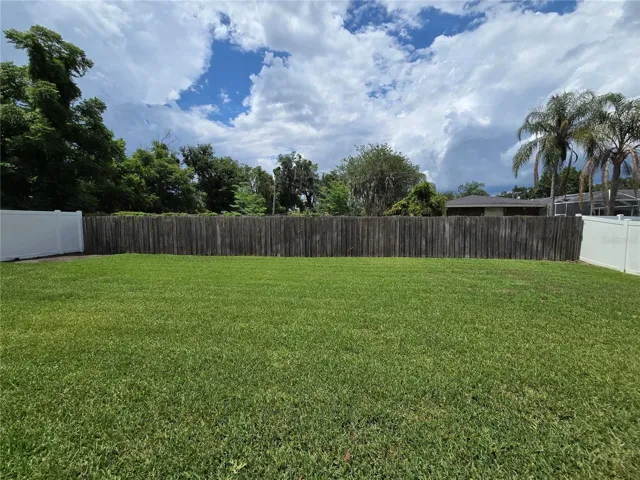 Backyard