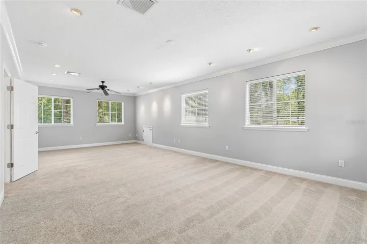 Loft/Bonus Room
