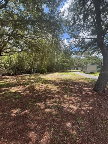 SIDE YARD