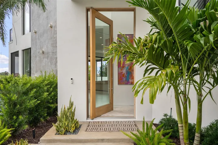 CUSTOM DOOR
