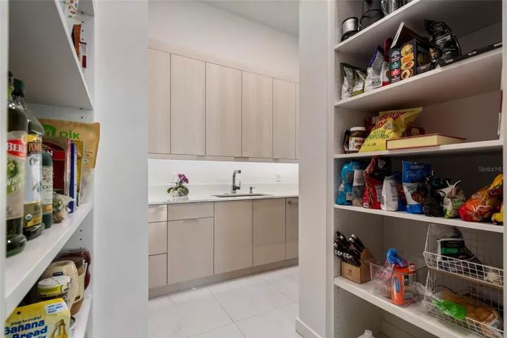 HIDDEN PANTRY
