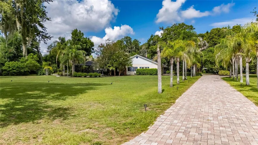 Tree lined driveway.