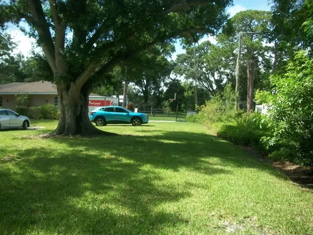 Standing in front yard looking at side yard to back yard
