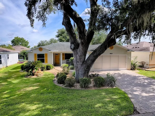 Majestic oak (not over roof)