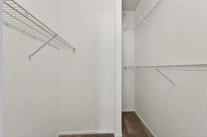 Primary Laundry