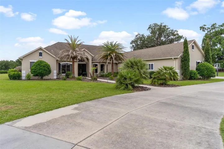 Mature Landscaping