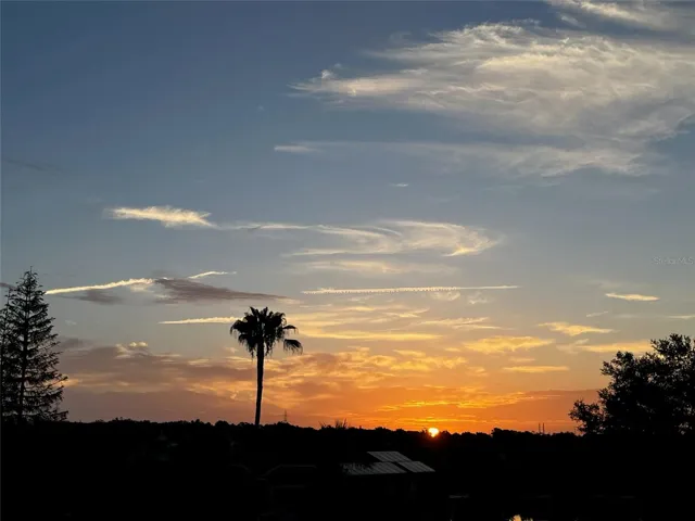 Morning views from the front yard.