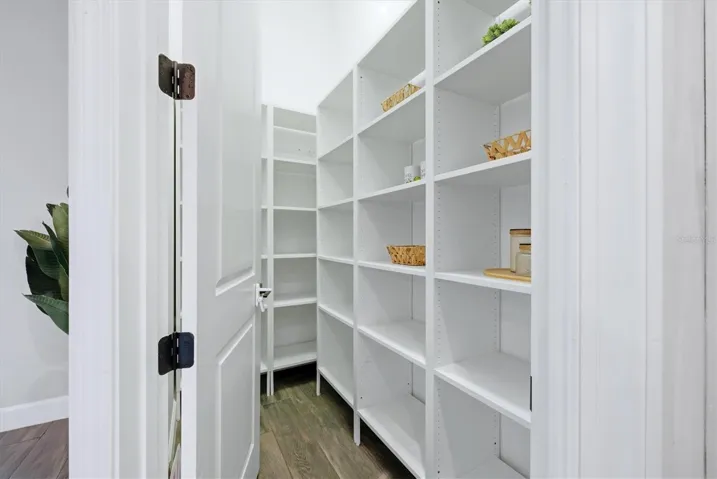 Primary Closet