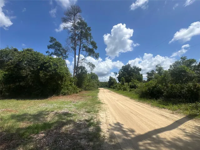 Street view looking North.