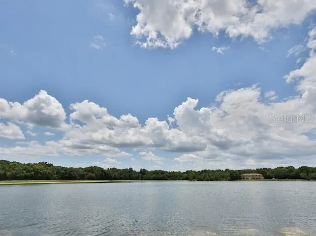 View/Back Yard