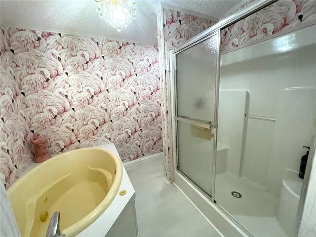 separate room with a jetted spa, walk-in shower and cammode