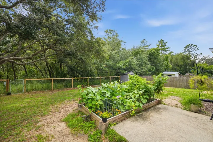RAISED GARDEN IN BACK