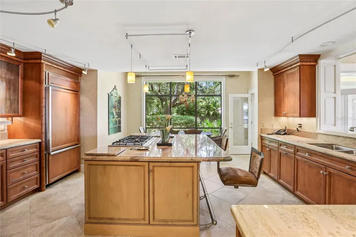 Chef's kitchen