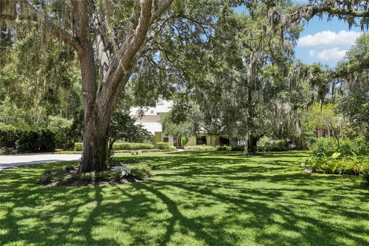Mature oaks, magnolia, cypress, and pine