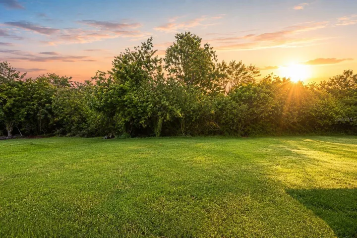 Backyard Faces East for Sunrise