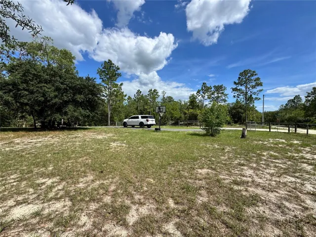 Driveway view