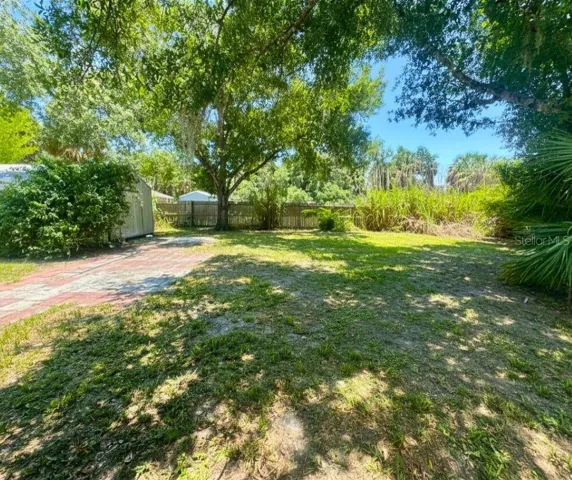 backyard