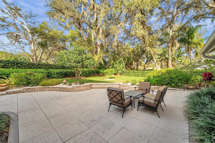 large backyard