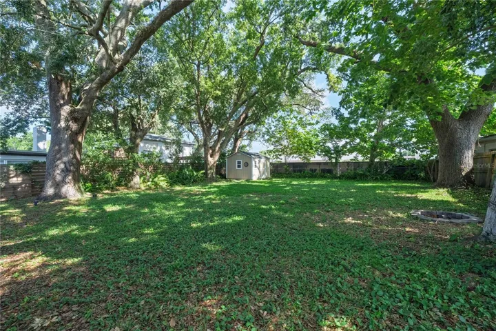 Backyard