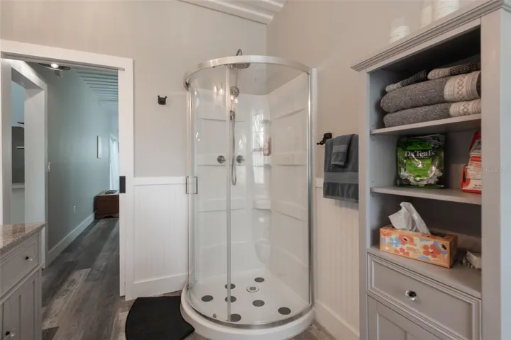 Primary Shower
