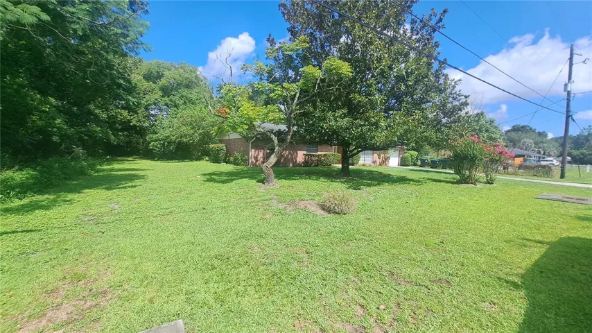 Front yard