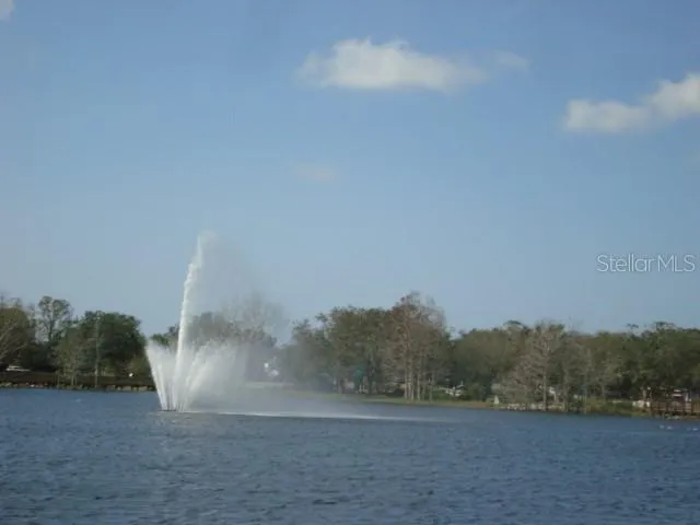 The Lake has a Beautiful View of the fountain spray