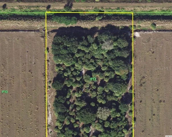 North 1/3 oof the property.